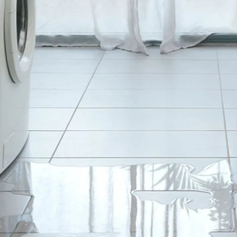 Appliance Leak Cleanup in Kinston, NC