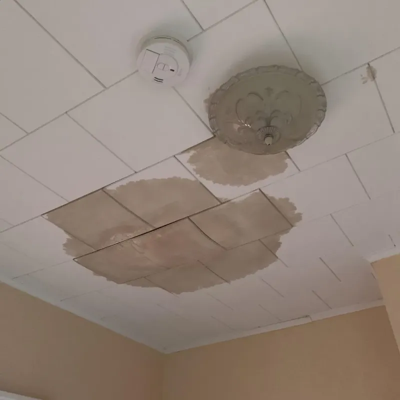 Ceiling Water Damage Repair in Kinston, NC