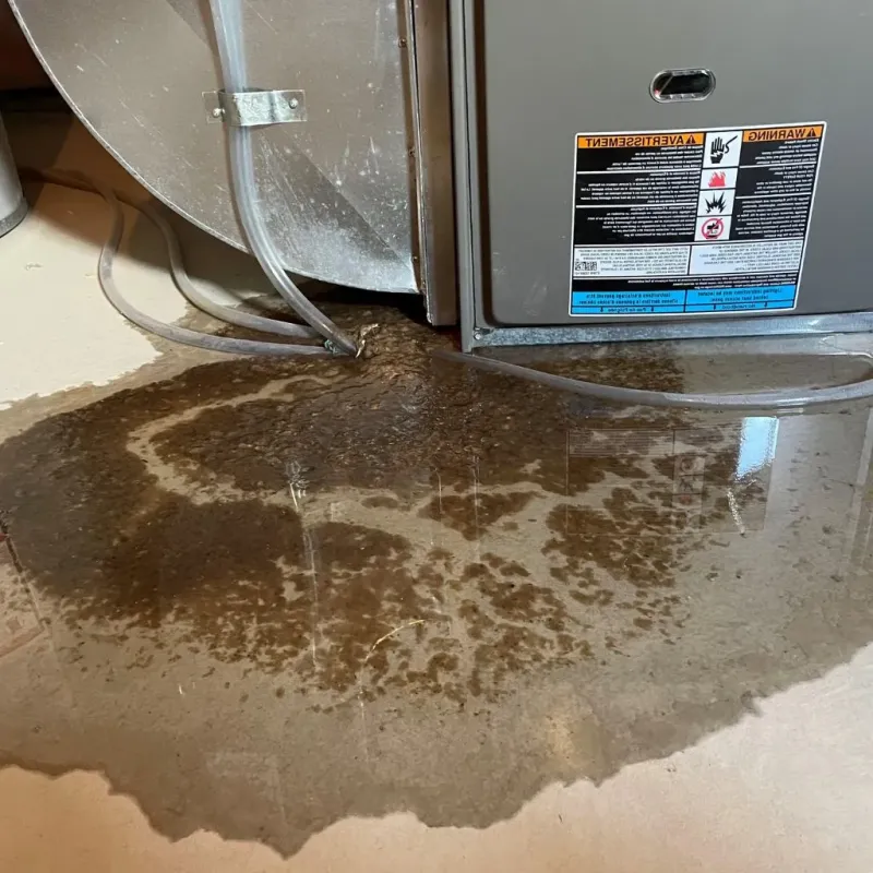Pipe Burst and Leak Restoration in Kinston, NC