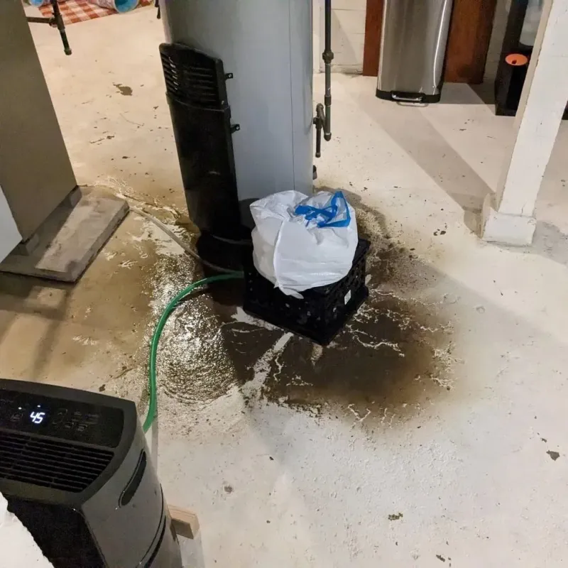 Sewage Backup Cleanup Service in Kinston, NC